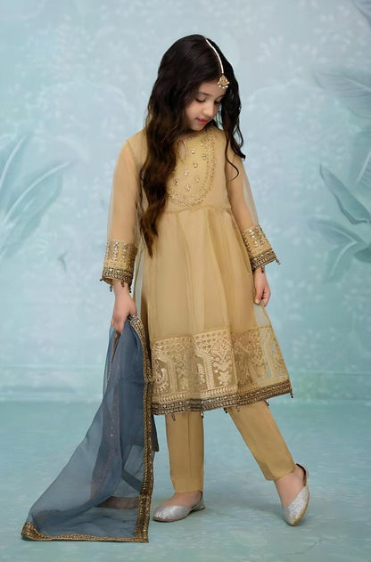 3 Pcs Girl’s Organza Embroidered Suit - Unstitched - Kids Bazar